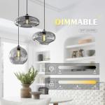 Modern Smoky Gray Glass Pendant Light Fixture