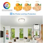 Modern 13-Inch Dimmable LED Ceiling Light