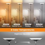 SIBRILLE Dimmable 2-in-1 Floor Lamp with Remote