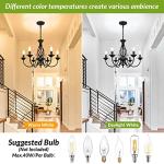 Rustic 6-Light Candle Chandelier in Matte Black