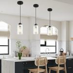 Modern Black Farmhouse Pendant Light with Glass Shade