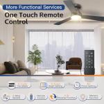 42 Inch Ceiling Fan with Light & Remote