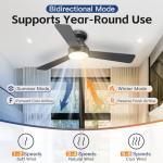 42 Inch Ceiling Fan with Light & Remote
