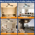 42 Inch Ceiling Fan with Light & Remote