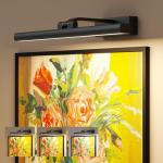 Eclipterra Wireless Wall Picture Light with Remote