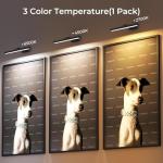 Eclipterra Wireless Wall Picture Light with Remote