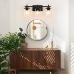 Spiglamm 3-Light Black Vanity Light Fixture