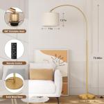 Dimmable Arc Floor Lamp with Remote Control