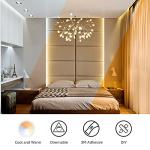 16.4ft Dimmable Tunable White LED Strip Light
