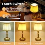 Rechargeable Cordless Table Lamps with Fabric Shades