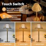 Mr. White Cordless Touch Control Table Lamp