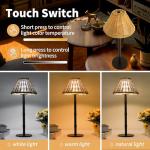 Mr. White Portable Cordless Table Lamp with Wicker Shade