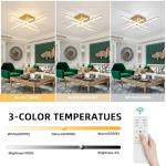 CANEOE Modern Ceiling Light Fixture, Gold Dimmable Close to Ceiling Light with Remote Control,Sputnik Flush Mount Ceiling Lamp for Bedroom Living Room Kitchen Modern Chandelier Light Fixture Ceiling