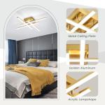CANEOE Modern Ceiling Light Fixture, Gold Dimmable Close to Ceiling Light with Remote Control,Sputnik Flush Mount Ceiling Lamp for Bedroom Living Room Kitchen Modern Chandelier Light Fixture Ceiling