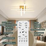 CANEOE Modern Ceiling Light Fixture, Gold Dimmable Close to Ceiling Light with Remote Control,Sputnik Flush Mount Ceiling Lamp for Bedroom Living Room Kitchen Modern Chandelier Light Fixture Ceiling