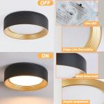 Suenigle Dimmable Modern LED Flush Mount Ceiling Light,11.8 Inch 5CCT 24W/3000K-6000K,Minimalist Round Black and Gold Close to Ceiling Lighting Fixtures for Kitchen,Hallway,Laundry Room,Entryway,Porch