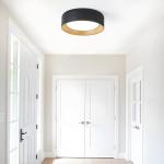 Suenigle Dimmable Modern LED Flush Mount Ceiling Light,11.8 Inch 5CCT 24W/3000K-6000K,Minimalist Round Black and Gold Close to Ceiling Lighting Fixtures for Kitchen,Hallway,Laundry Room,Entryway,Porch