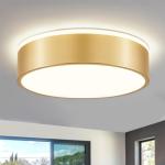 Goomavi Gold Flush Mount Ceiling Lights, Modern Dimmable 5CCT Close to Lighting Fixture, 2700K-6000K LED Round Ceiling Lamp for Kitchen Hallway Bedroom Laundry Room Entryway Bathroom-11.8in