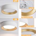 Suenigle Dimmable Modern LED Flush Mount Ceiling Light,11.8 Inch 5CCT 24W/3000K-6000K,Minimalist Round White and Gold Close to Ceiling Lighting Fixtures for Kitchen,Hallway,Laundry Room,Entryway,Porch