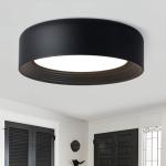 Gisisee 11.8 Inch Modern Dimmable LED Round Matte Black Flush Mount Ceiling Light,5CCT Adjustable 3000K-6000K,Close to Ceiling Lighting Fixture for Hallway,Entryway,Laundry Room,Kitchen,Bedroom