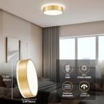 Goomavi Gold Flush Mount Ceiling Lights, Modern Dimmable 5CCT Close to Lighting Fixture, 2700K-6000K LED Round Ceiling Lamp for Kitchen Hallway Bedroom Laundry Room Entryway Bathroom-11.8in