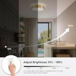Goomavi Gold Flush Mount Ceiling Lights, Modern Dimmable 5CCT Close to Lighting Fixture, 2700K-6000K LED Round Ceiling Lamp for Kitchen Hallway Bedroom Laundry Room Entryway Bathroom-11.8in