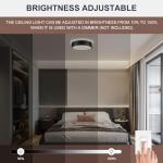 YURNYQ Dimmable Black LED Flush Mount Ceiling Lights, Modern 5CCT 2700K-6000K Close to Ceiling Light, Simple Round Kitchen Lighting Fixtures for Bedroom Hallway Entryway Laundry Room, 11.8 Inch