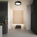 Gisisee 11.8 Inch Modern Dimmable LED Round Matte Black Flush Mount Ceiling Light,5CCT Adjustable 3000K-6000K,Close to Ceiling Lighting Fixture for Hallway,Entryway,Laundry Room,Kitchen,Bedroom