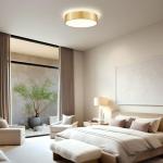 Goomavi Gold Flush Mount Ceiling Lights, Modern Dimmable 5CCT Close to Lighting Fixture, 2700K-6000K LED Round Ceiling Lamp for Kitchen Hallway Bedroom Laundry Room Entryway Bathroom-11.8in