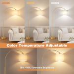 Dimmable Arc Floor Lamp with Remote Control