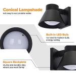 2 Pack Black LED Outdoor Wall Lights