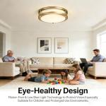 Drosbey 36W Dimmable LED Ceiling Light Fixture