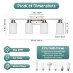 Brushed Nickel 4-Light Vanity Light Fixture