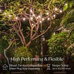 Brightech Ambience Pro 26 Ft LED String Lights
