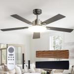 Passky 52-Inch Ceiling Fan with Dimmable Light
