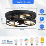 SKEJAO Black 3-Light Flush Mount Ceiling Light