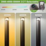 42-Inch LED Bollard Light with 3 Color Options