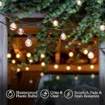 Brightech Ambience Pro 26 Ft LED String Lights