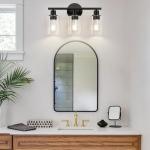 Black 3-Light Bathroom Vanity Light with Glass Shades