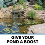 PondShock Ball for Crystal Clear Water