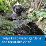 API Pond Algaefix Algae Control 32 oz Bottle