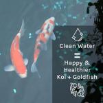 Microbe-Lift PL Pond Cleaner for Koi and Plants