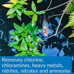 API Pond Aqua Essential 32-Ounce Water Conditioner