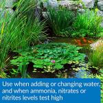 API Pond Aqua Essential 32-Ounce Water Conditioner