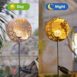 Solar Fairy Garden Lights - Moon & Star Stake
