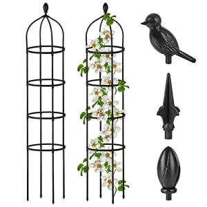 6 Ft Metal Garden Trellis for Climbing Plants
