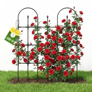Outdoor Garden Trellis for Climbing Plants Support