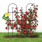 Outdoor Garden Trellis for Climbing Plants Support