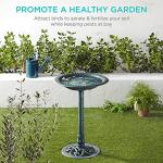 Rustic Pedestal Bird Bath for Garden and Yard