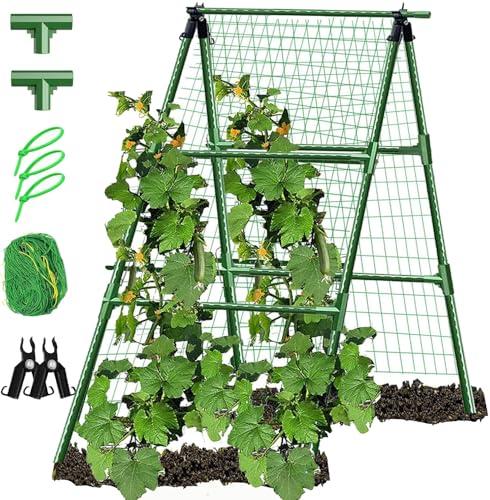 Trellises
